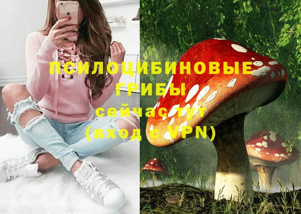 гидра Чекалин
