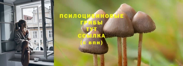 индика Иннополис