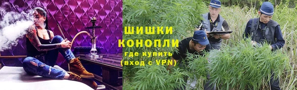 индика Иннополис