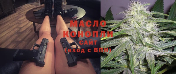 индика Иннополис