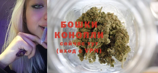 индика Иннополис