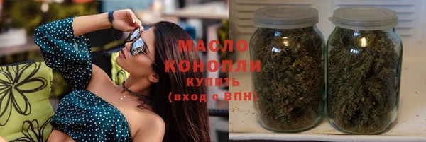 индика Иннополис